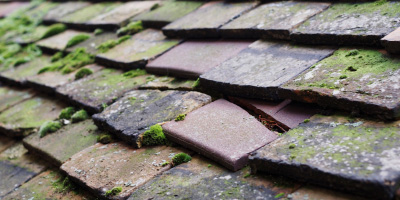 Sherington roof repair costs